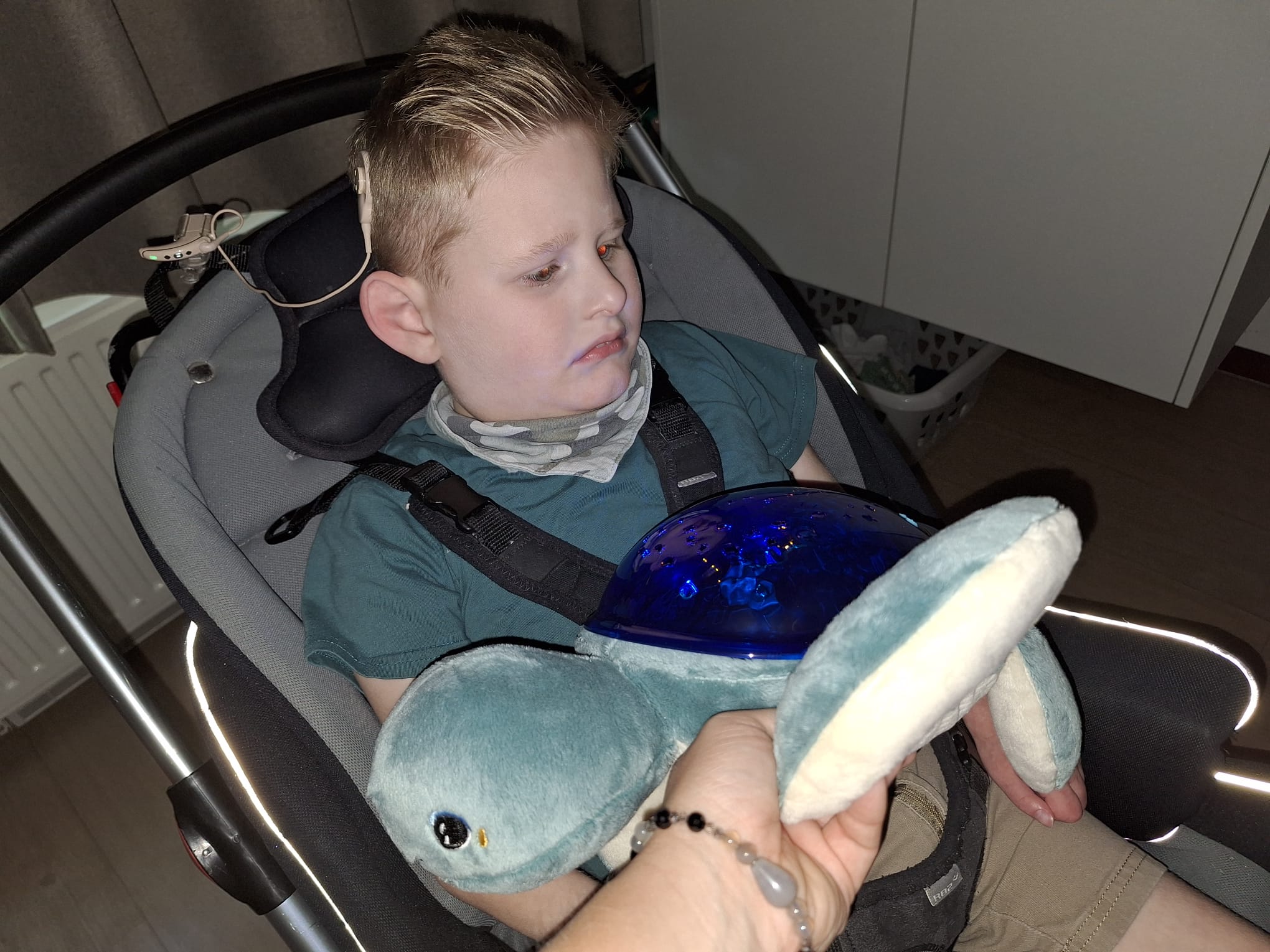schildpad met licht en geluid